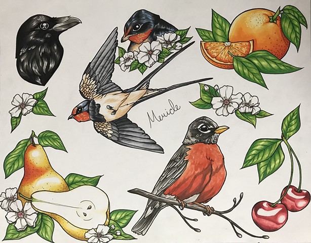 Fruit and Feathers