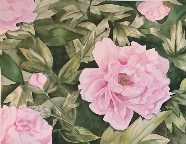 commissioned piece, pink peonies
