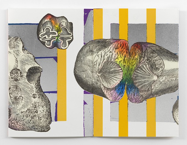 *EL PRISMA EN TUS MANOS* is a twenty-two color lithograph with aluminum leaf and chine collé. It was printed by hand from fifteen aluminum plates made from mylars drawn by Dianna Frid using brushes, acrylic paint, crayon, and photocopies. The lithographic