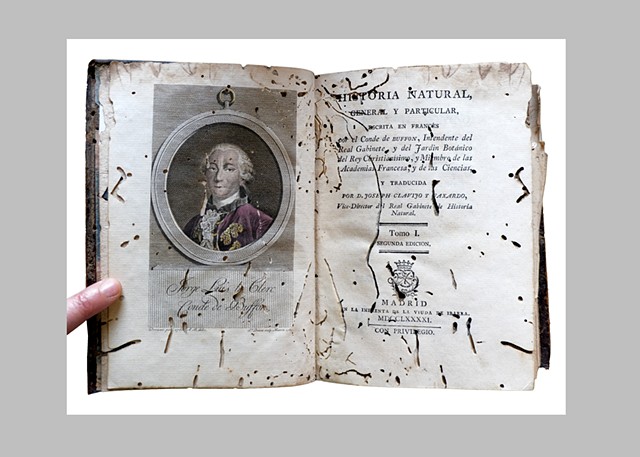 HOW TO PEER THROUGH A WORMHOLE