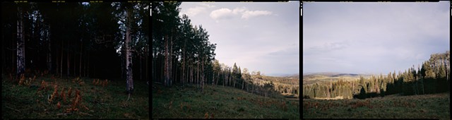 N 40° 00’ 00” W 107° 00’ 00” Routt National Forest, Toponas, Colorado, 2012