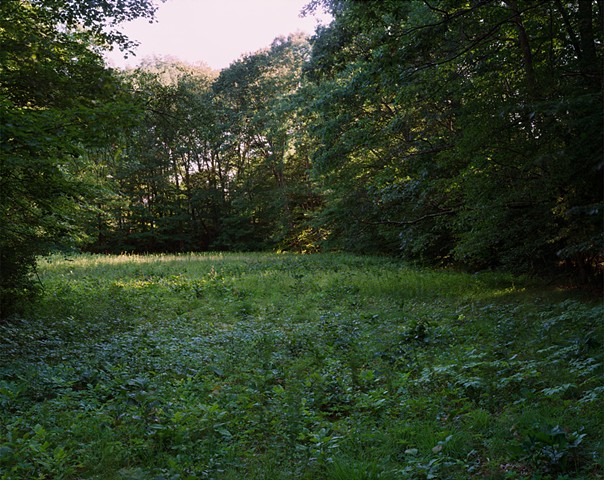 Meadow near Fort Juniper