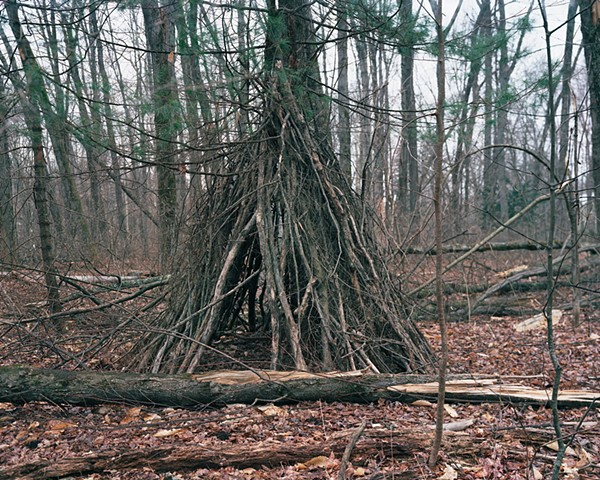 A Fort in the Woods