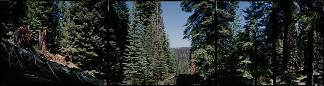 N 40° 00’ 00” W 123° 00’ 00” Mendocino National Forest, Colevo, California, 2012