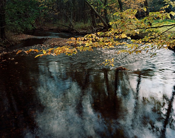 Mill River [View 2]