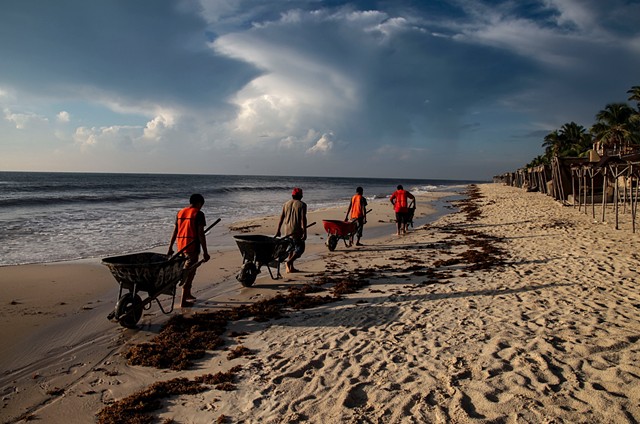 Young workers march in a solitary line down a private beach in front of the Papaya Playa Project, an upscale hotel estate, to clear seaweed that has collected overnight in Tulum, Mexico. 