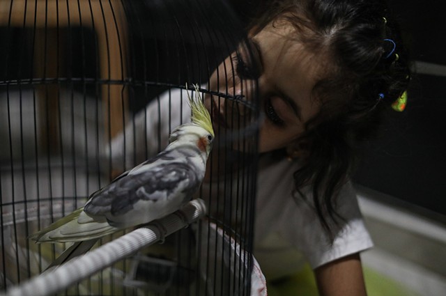 Hala sings an Arabic prayer to her new pet bird. In Syria, the family had horses, chickens, dogs, and goats.