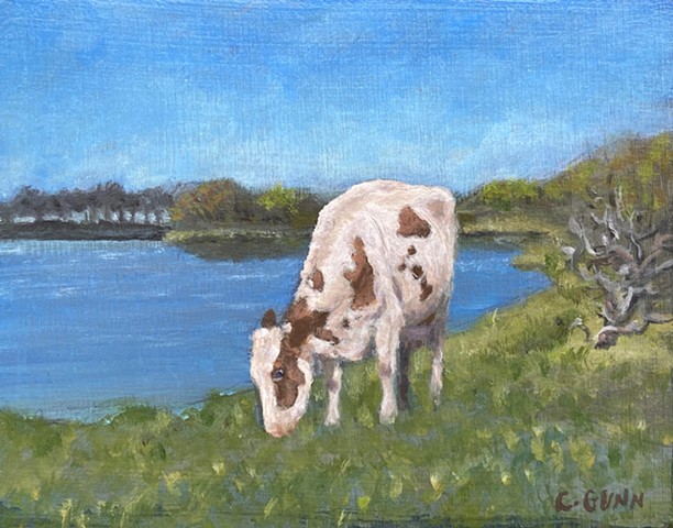 Pictou Landing Dairy Cow