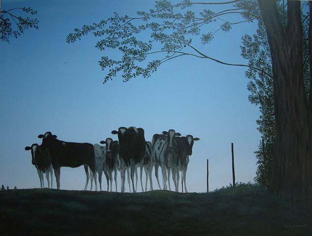 Cows at Dusk
