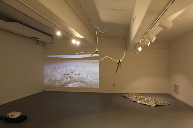 Path for Flight, air and earth, Installation View