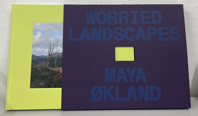 Worried Landscapes, 2025