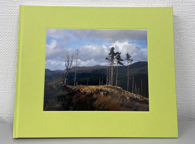 Worried Landscapes, 2025