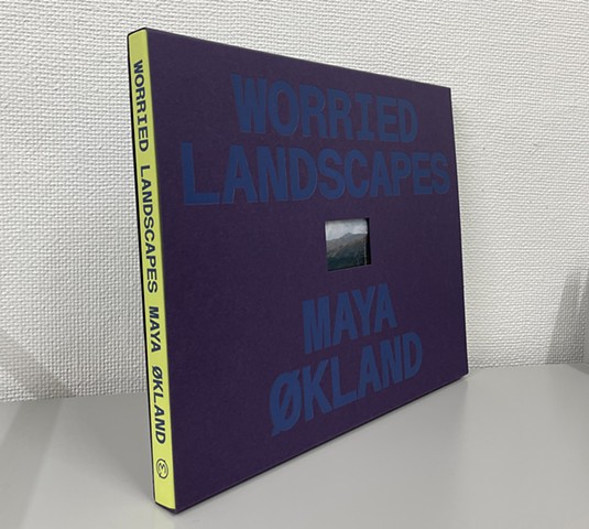 Worried Landscapes 2025