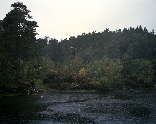 Betuttet landskap #365