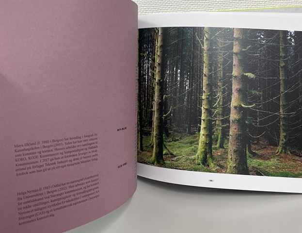 Worried Landscapes, 2025