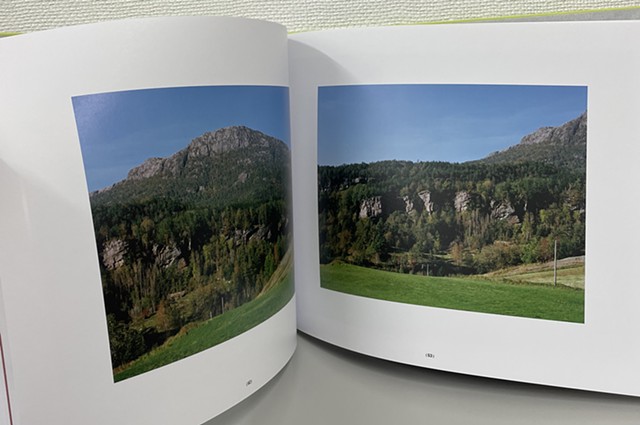 Worried Landscapes, 2025