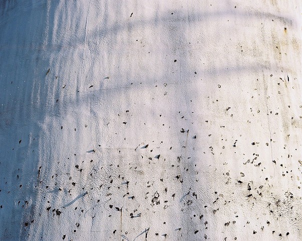 Untitled (Cudahy)