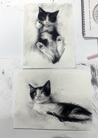 Custom Charcoal Pet Portraits