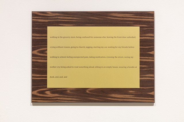  The text on the plauqe is a list of the artist's fears that reads: " walking in the grocery store, being confused for someone else, leaving the front door unlocked, crying without reason, feeling unexpected pain, taking medication, crossing the street, seeing my mother cry, being asked to read something aloud, sitting in an empty house, wearing a hoodie at dusk, and, and, and "