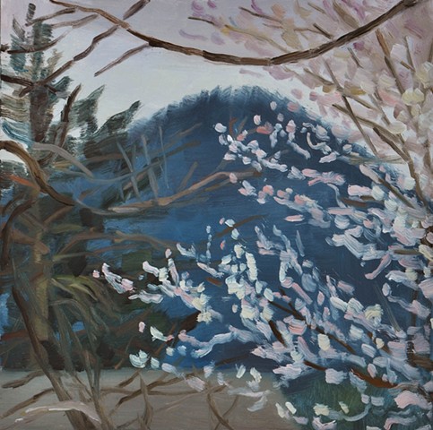 Spencer Butte with Blossoms II