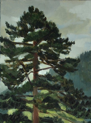 a plein air painting of a sequoia tree with hills and cloudy sky
