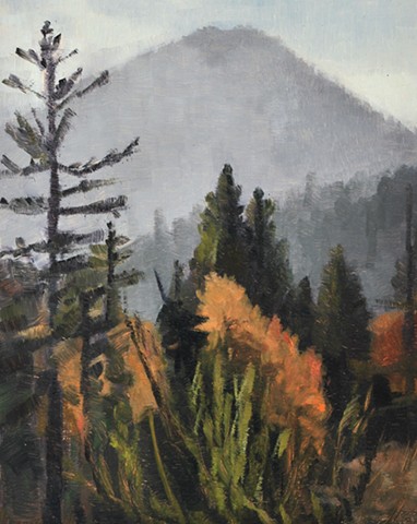 a plein air painting, oil on board, of a group of fall trees and fog on a mountain side. grays and oranges.