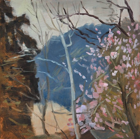 Spencer Butte with Blossoms I