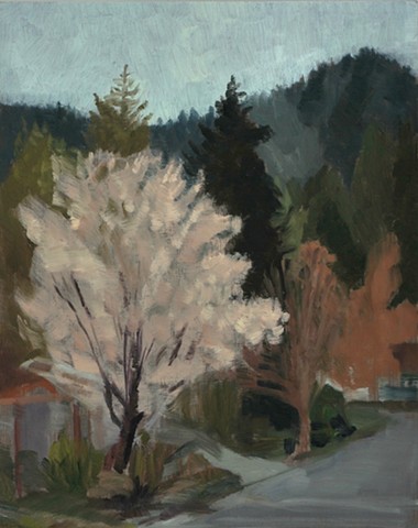 a plein air painting, oil on board, of a blooming cherry tree in a suburban neighborhood with subtle browns and grays.