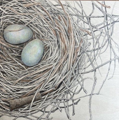 Patricia Carr original artwork watercolor Market Gallery Roanoke VA