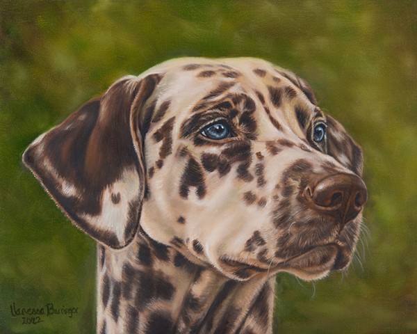 Vanessa Barringer Animals Artwork Market Gallery Roanoke VA