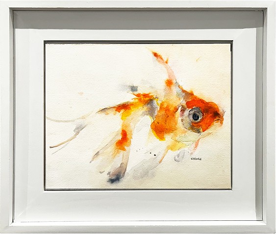 Goldfish Memory 1