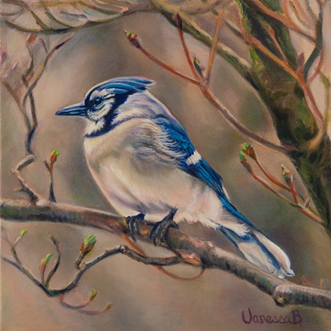 Vanessa Barringer Animals Artwork Market Gallery Roanoke VA