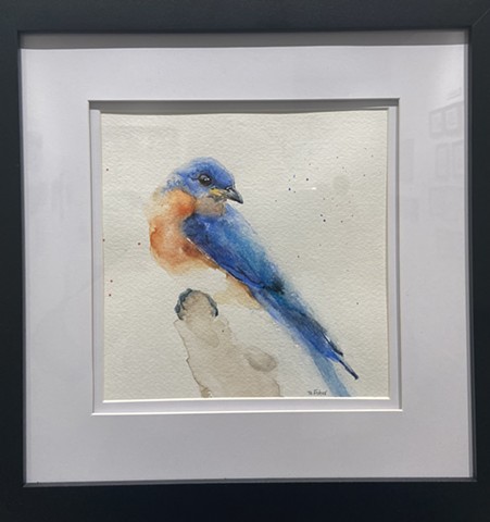 BlueBird