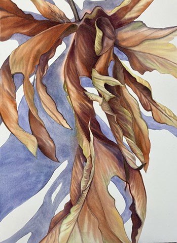 Patricia Carr original artwork watercolor Market Gallery Roanoke VA