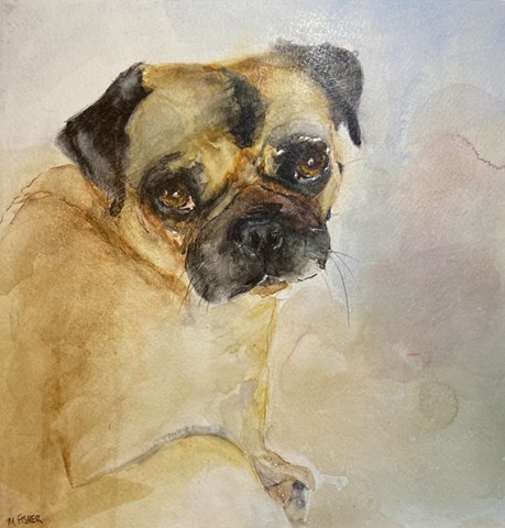 Maggie