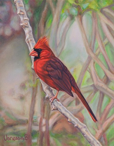 Vanessa Barringer Animals Artwork Market Gallery Roanoke VA