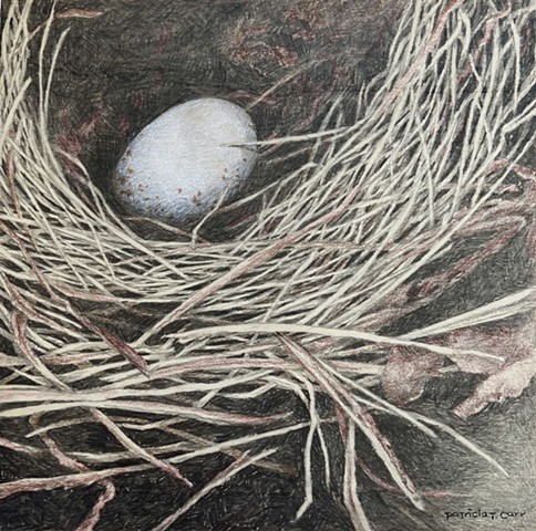 Patricia Carr original artwork watercolor Market Gallery Roanoke VA