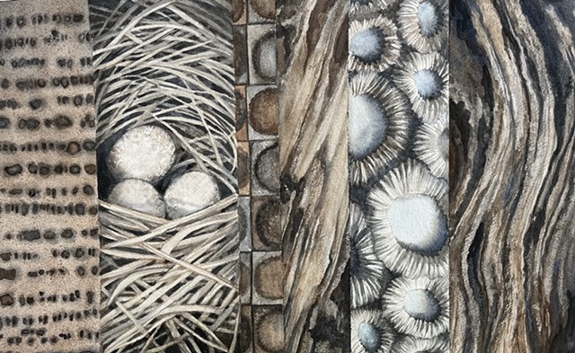 Patricia Carr original artwork watercolor Market Gallery Roanoke VA
