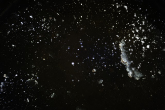 Galionella Galaxy #1