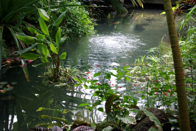 Synthetic Tropical Rainforest Biome (Pond Pump)