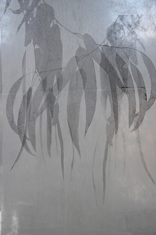 2 eucalyptus-noir transparent
