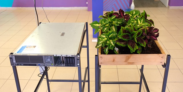 tendergarden.io