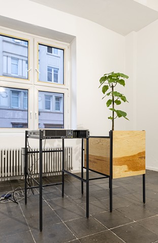 tendergarden.io at KÃ¼nstlerhaus Dortmund. (c) Jana Kerima Stolzer, 2024.