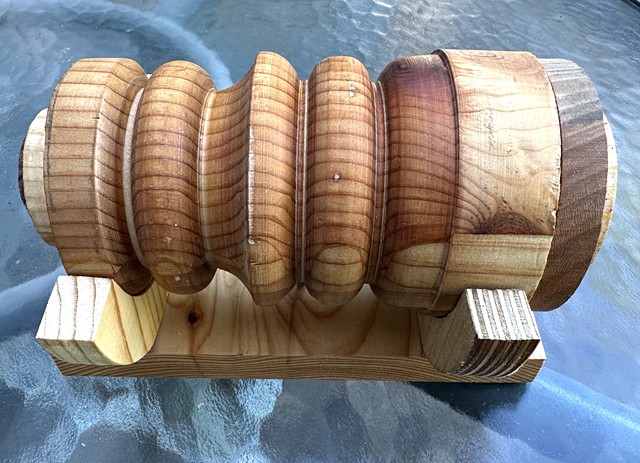 Ringed pine