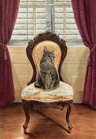 Brown Tabby cat framed with museum glass