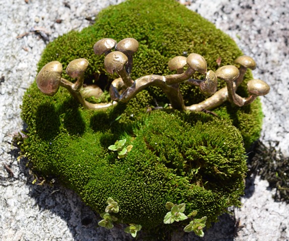 Knuckle Fungus
