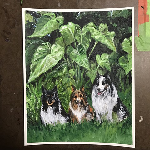 Untitled (3 dogs)