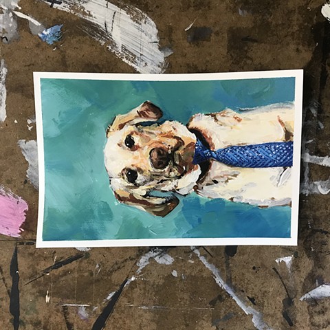 untitled (dog in tie)