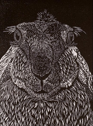 wood engraving, rabbit.