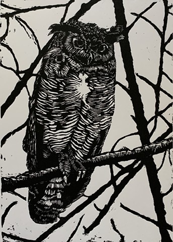wood engraving print, Great Horned Owl, bird, birds of prey